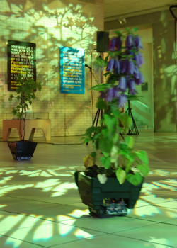 autonomous plant foyer