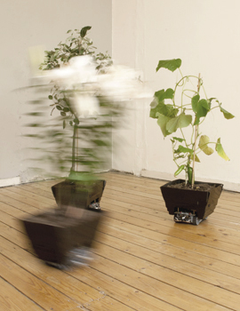 autonomous plant foyer