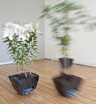 autonomous plant foyer